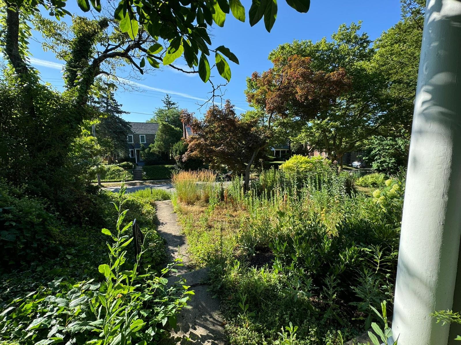 Yard cleanup work by Green Force Property Services